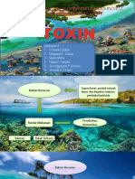 Dampak Manusia Dan Pengelolaan Pantai Dan Ekosistem Estuarine