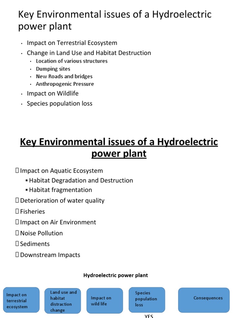 Key Environmental Issues of A Hydroelectric Power Plant PDF Natural