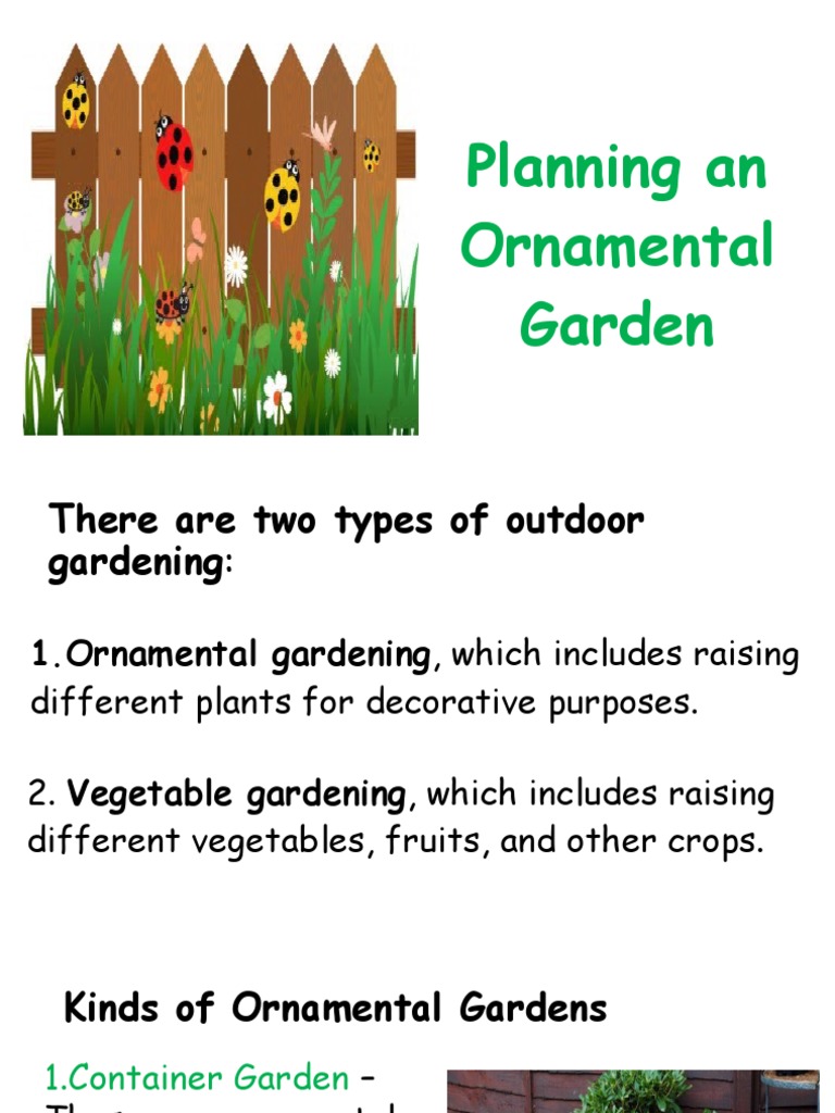 Types of Ornamental Gardens and Plants | PDF | Perennial Plant | Oregano