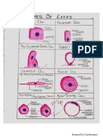 CamScanner document scans