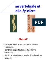 Spine and Spinal Cord