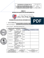 FORMATO DE VALIDACION UAI Walter