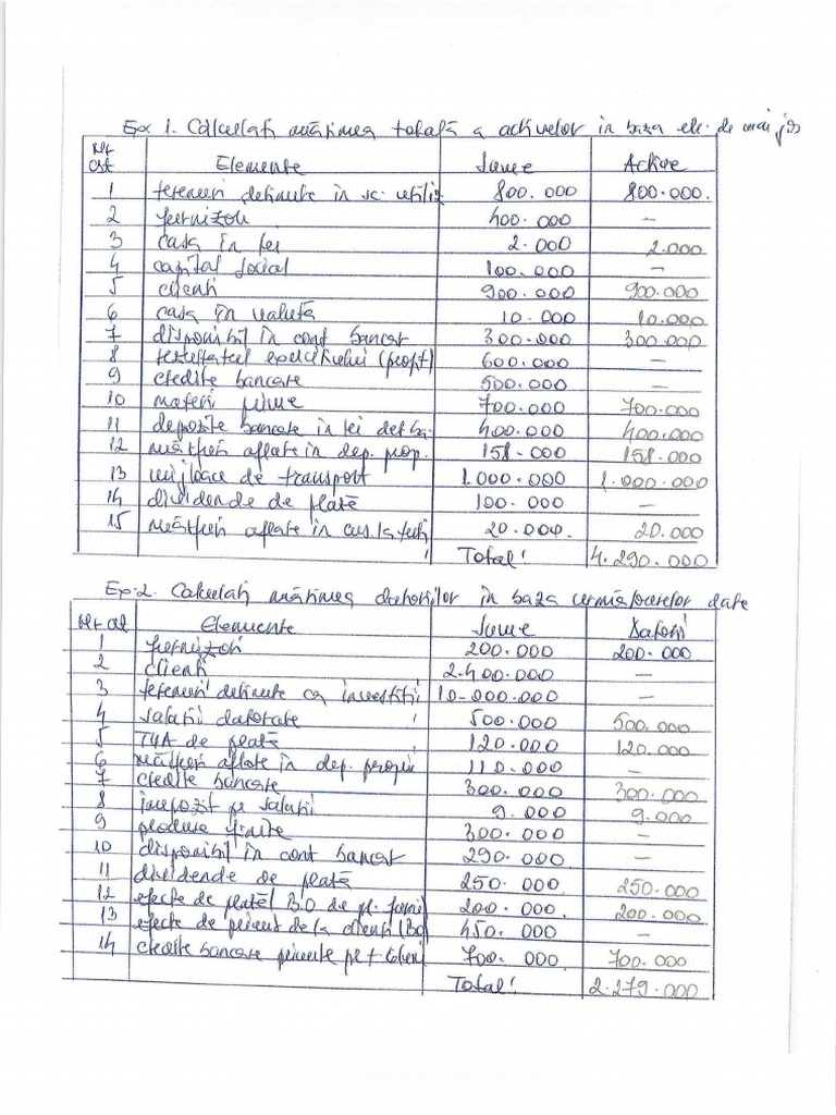 Tema 1 Contabilitate Pdf