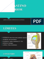 Mediastino posterior: Aorta, esófago y venas ácigo