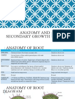 Anatomy, Secondary Growth