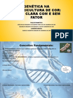 Genética Na Canaricultura de Cor
