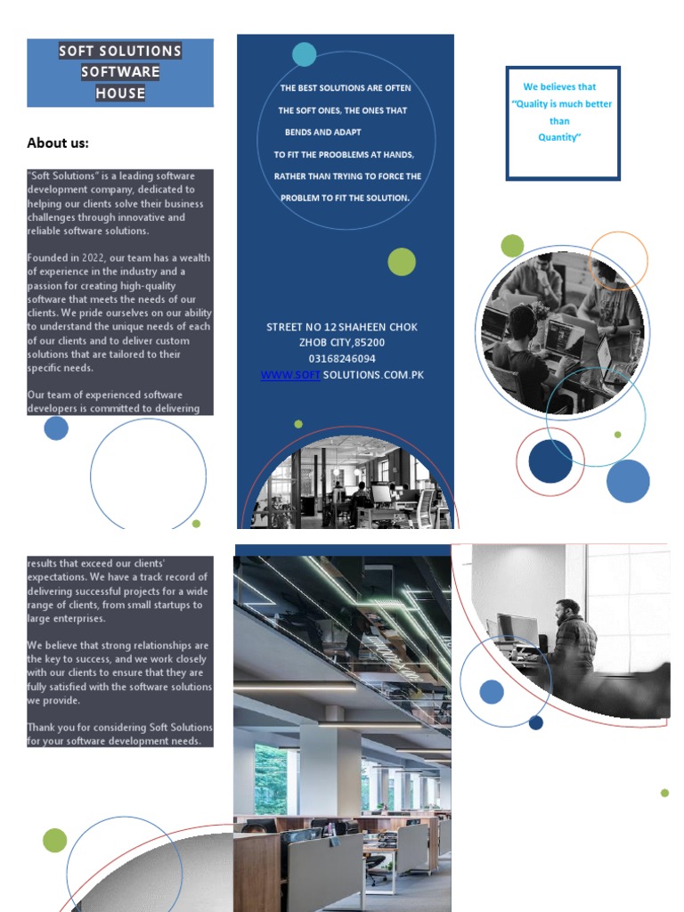 Custom Software Solutions for Businesses | PDF | Software Engineering ...