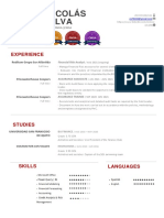 Nicolas Silva-Curriculum-Vitae.