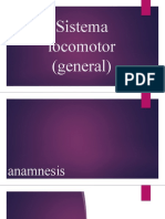 Sistema Locomotor General