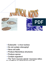 Antifungal Drugs0