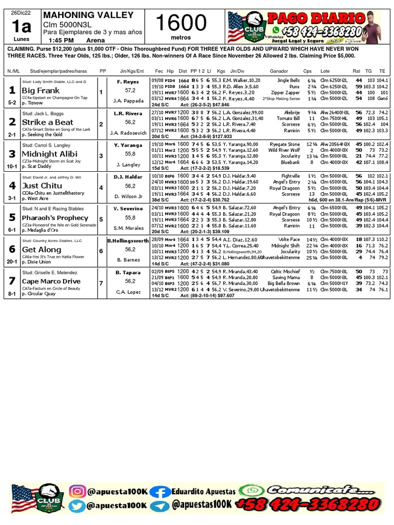 Representing the Races A Concise Summary of Entries and Results for