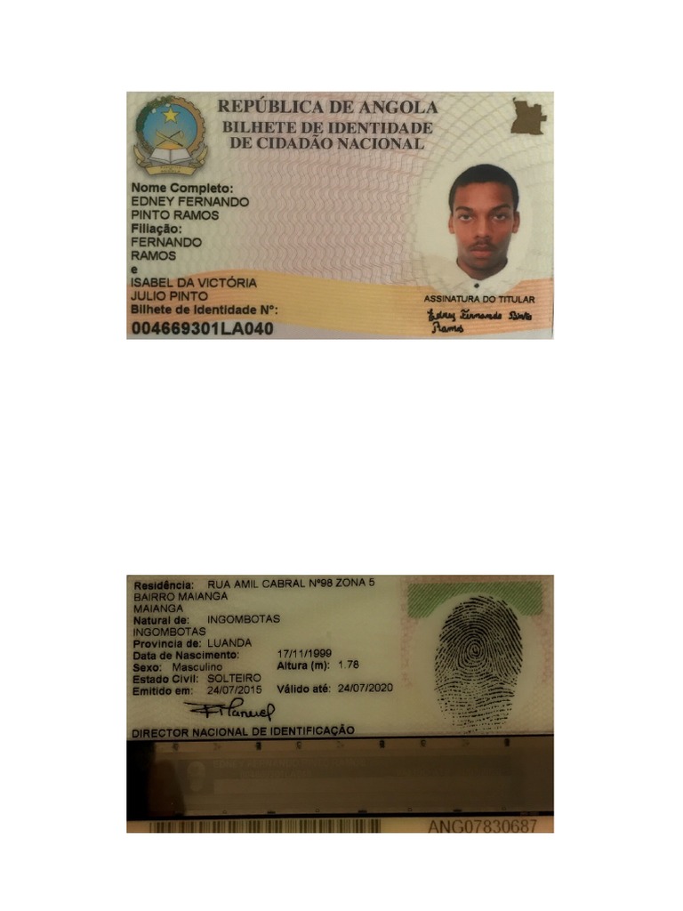 Documento cópia do BI | PDF