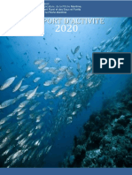 Rapport Activit DPM 2020