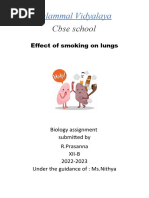 Effect of Smoking On Lungs