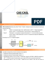 E Tema 10 CAS CASL PPT