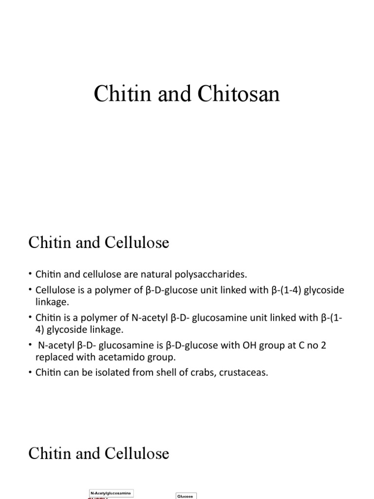 Chitin and Chitosan: Natural Polymers | PDF