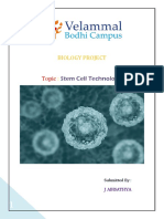 Stem Cell Project 