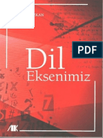 Dil Eksenimiz