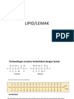 Laporan LIPID 1