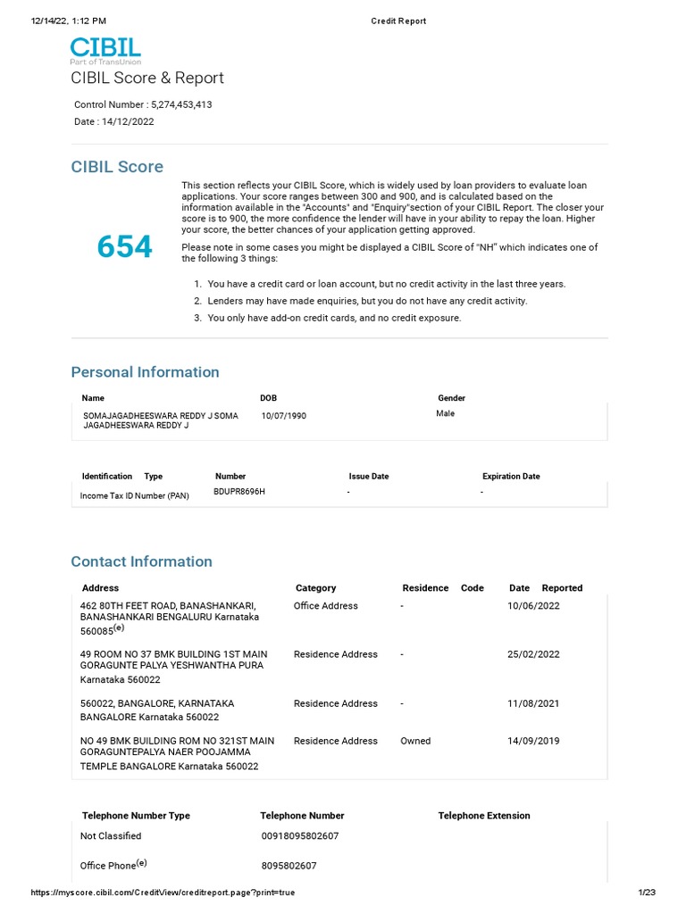 Credit Report Pdf