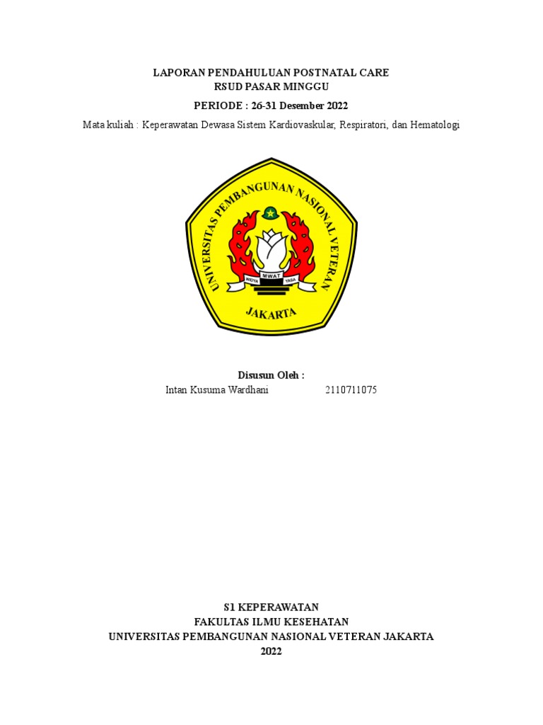laporan-pendahuluan-postnatal-care-pdf