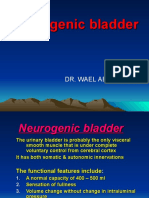 3 - Neurogenic Bladder