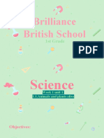 Brilliance British School: 1st Grade