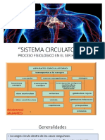 08-Sistema Vascular