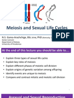 Meiosis and Sexual Life Cycles - Phone