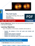 Mitosis and Cell Cycle 