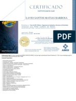 Certificado NR10 Flavio Santos