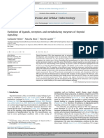 Evolution of Ligands, Receptors and of Metabolizing Enzymes of Thyroid Signaling