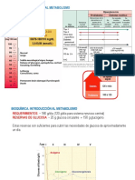 Tema 1. - Gluconeogénesis
