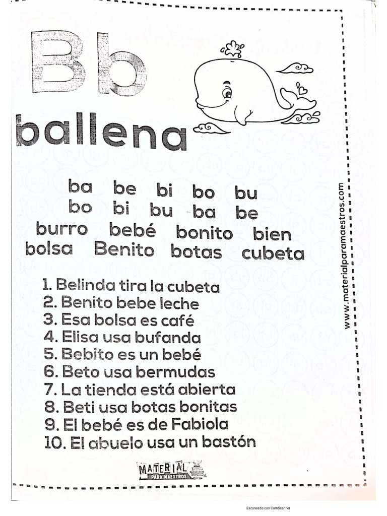 Ballena | PDF