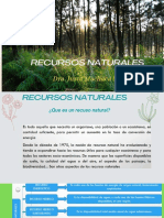 Recursos Naturales (1) - Compressed