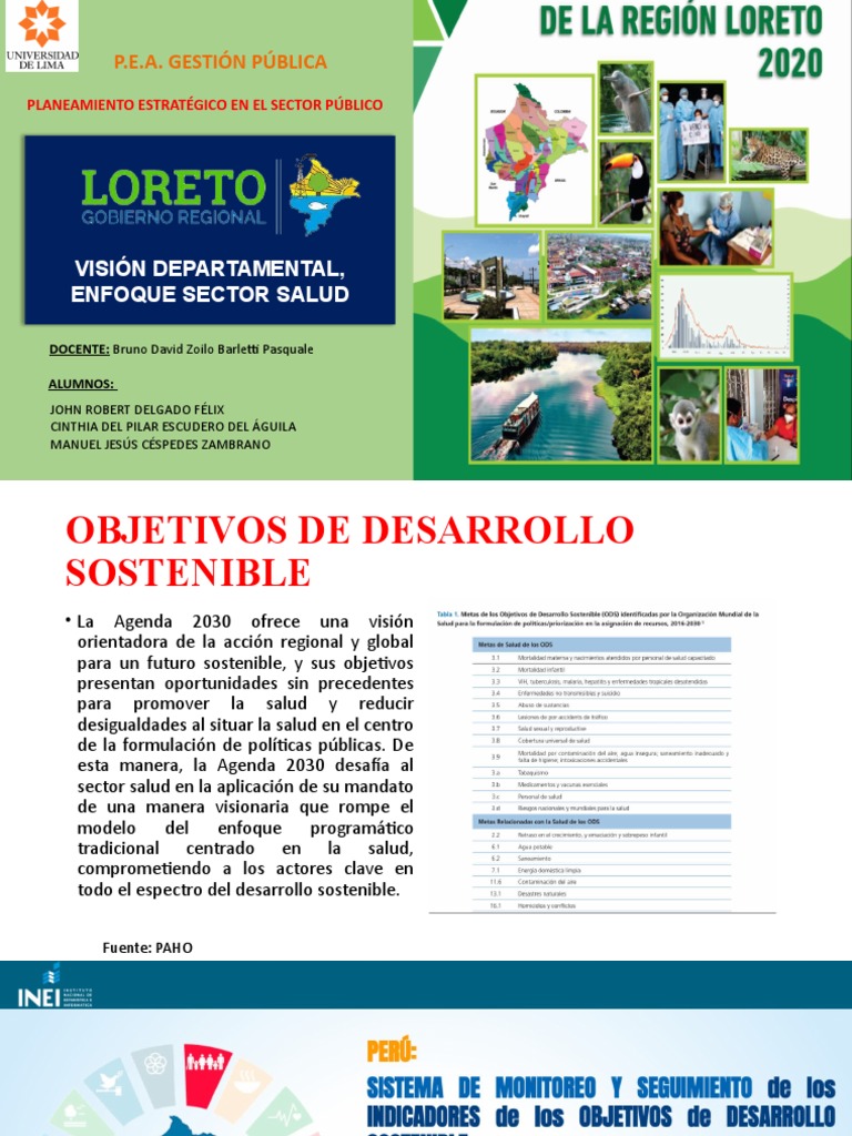 Gobierno Regional de Loreto - Sector Salud | PDF | Sustentabilidad ...