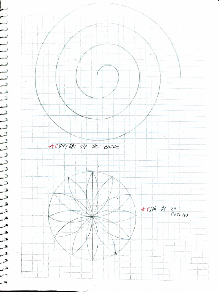 Actividad 3 El Compas PDF