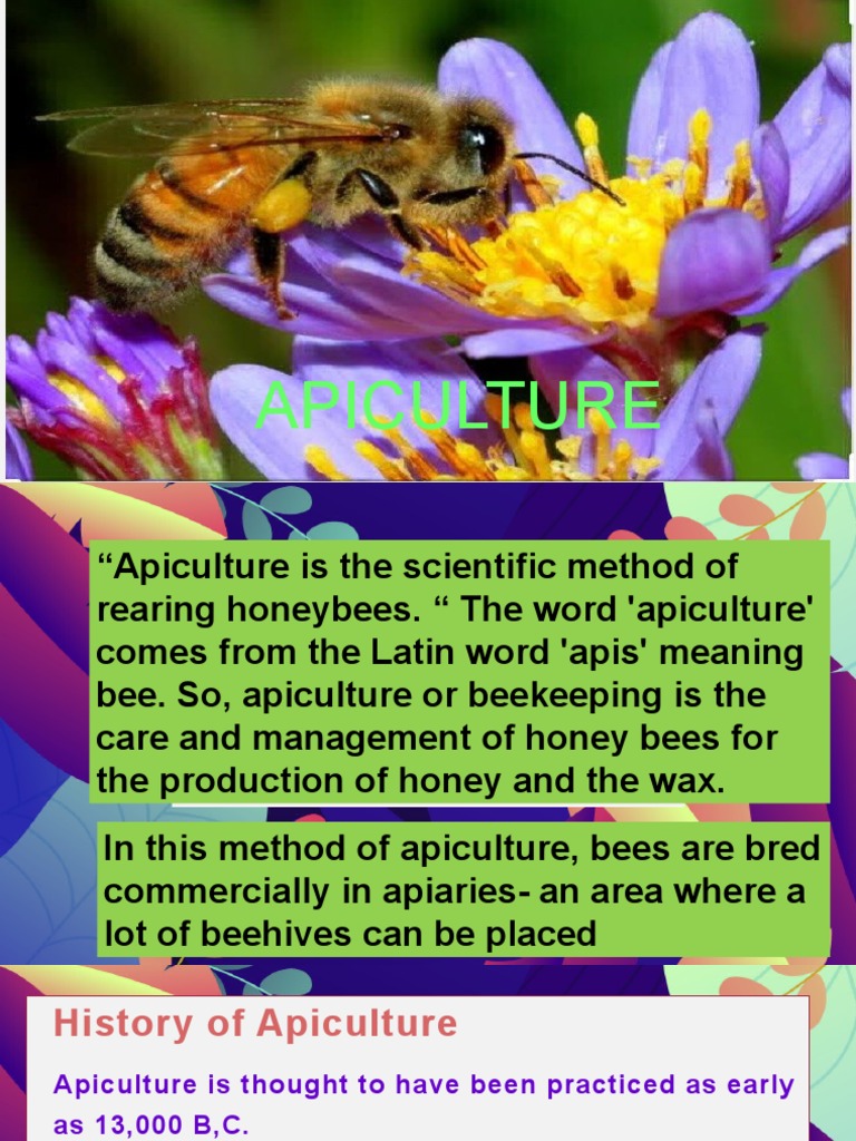APICULTURE-WPS Office | PDF | Honey Bee | Beehive