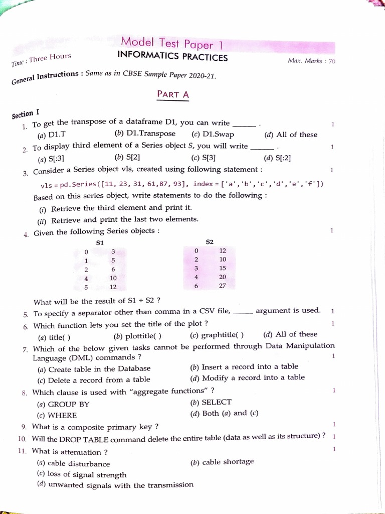12 IP Model Sample Paper PDF