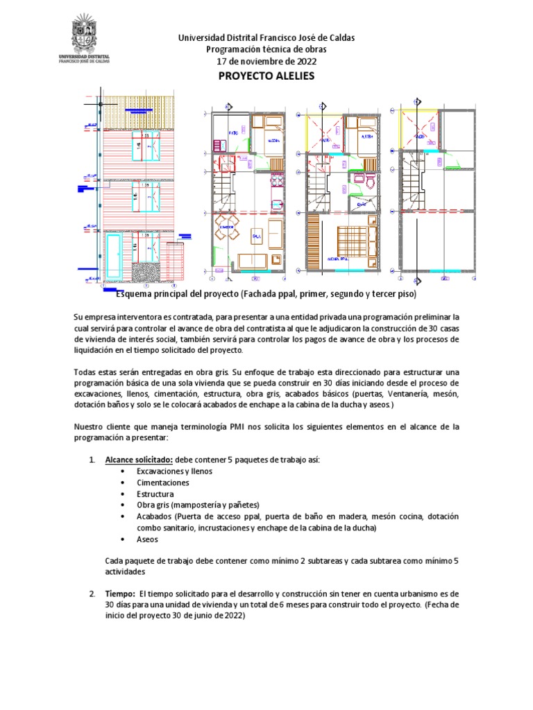 Enchape en Proyecto de Vivienda Social | PDF