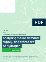 EHB Analysing The Future Demand Supply and Transport of Hydrogen June 2021