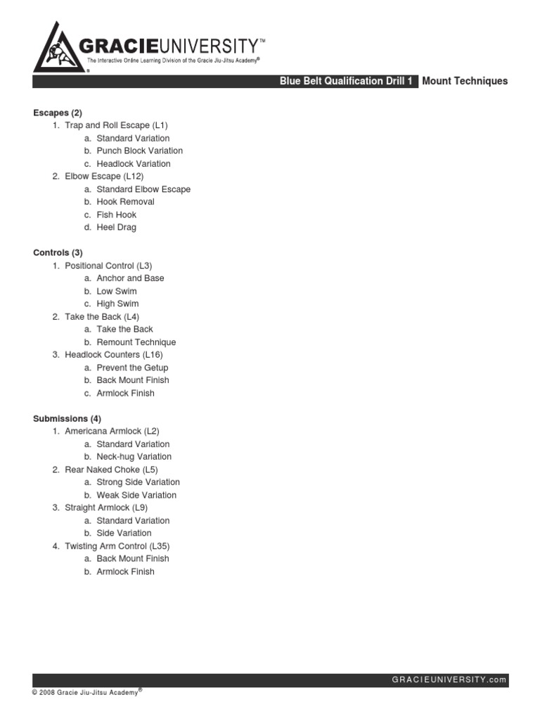 Drill 1 Mount Techniques | PDF