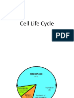 Cell Life Cycle