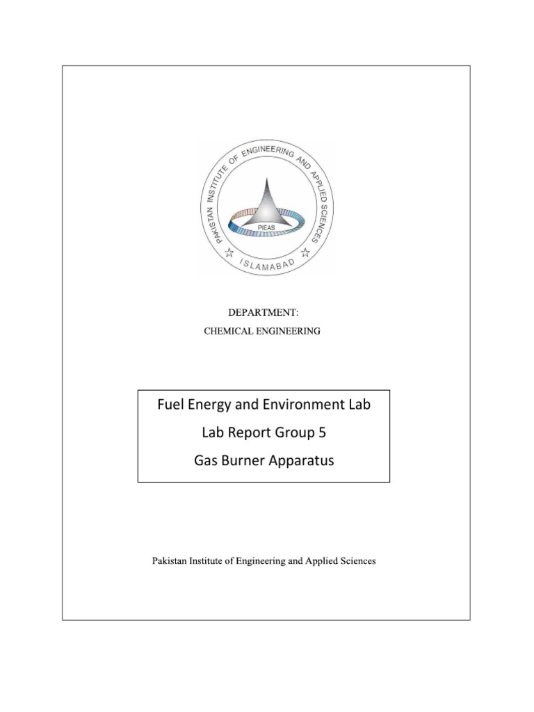 FEE Group 5 Gas Burner Apparatus Lab Report PDF Combustion