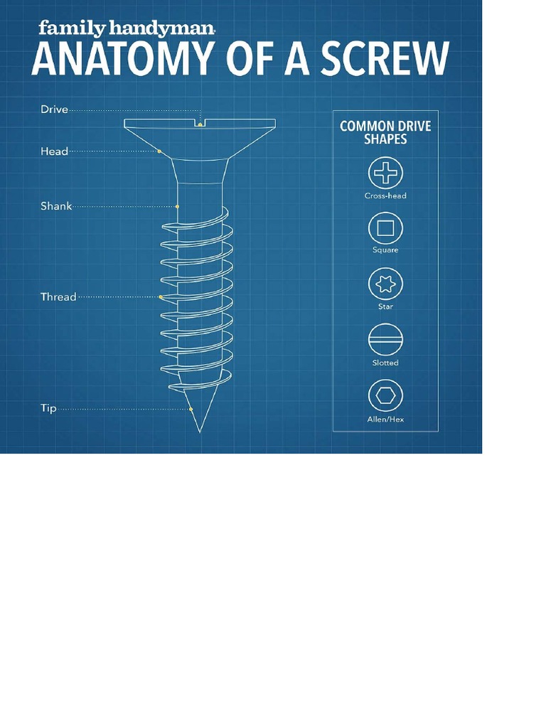 Anatomy of A Screw PDF