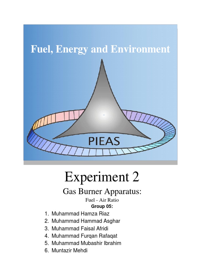 Gas Burner Apparatus PDF Combustion Internal Combustion Engine