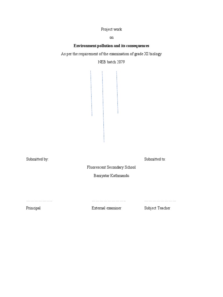 Project Work Cover Page 3 | PDF