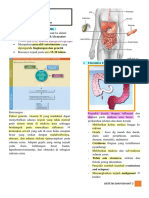 NCP Pada IBD