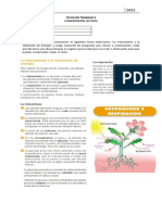 Ficha de Trabajo 2 Comprensión Lectora