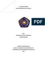 Lapres IRT - Mokhamad Falachuddin - 030 - Revisi